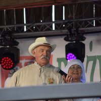 Zobacz w powiększeniu: Dożynki Powiatowe Baranów 2021 (34)